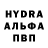 ГЕРОИН хмурый Bryce Havens