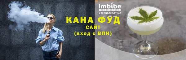 гашик Туринск